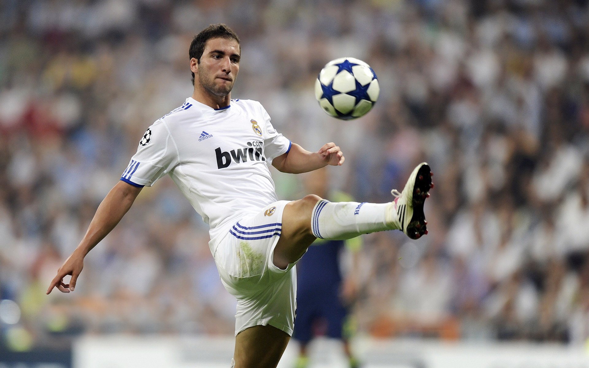 中国体操队训练视频走红，动作难度获赞，中国体操队项目